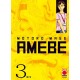 AMEBE DI MOTORO MASE n. 3